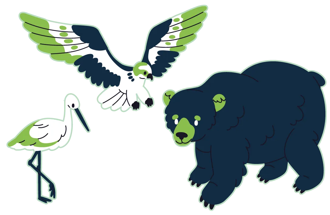 Une cigogne, un oiseau et un ours noir.