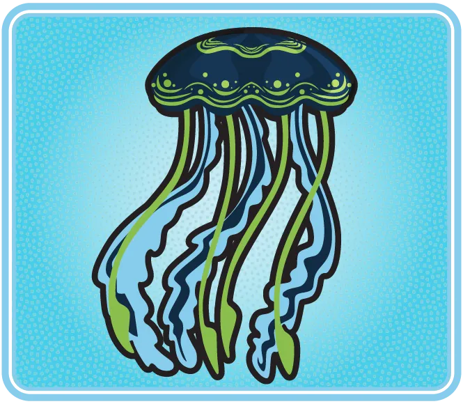 Un organisme marin pourvu de longs tentacules.