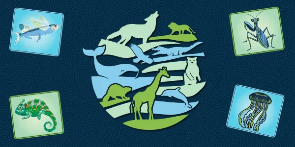 Image artistique en forme de sphère, montrant des silhouettes de différentes espèces animales, terrestres et marines, dans des teintes de bleu et de vert.