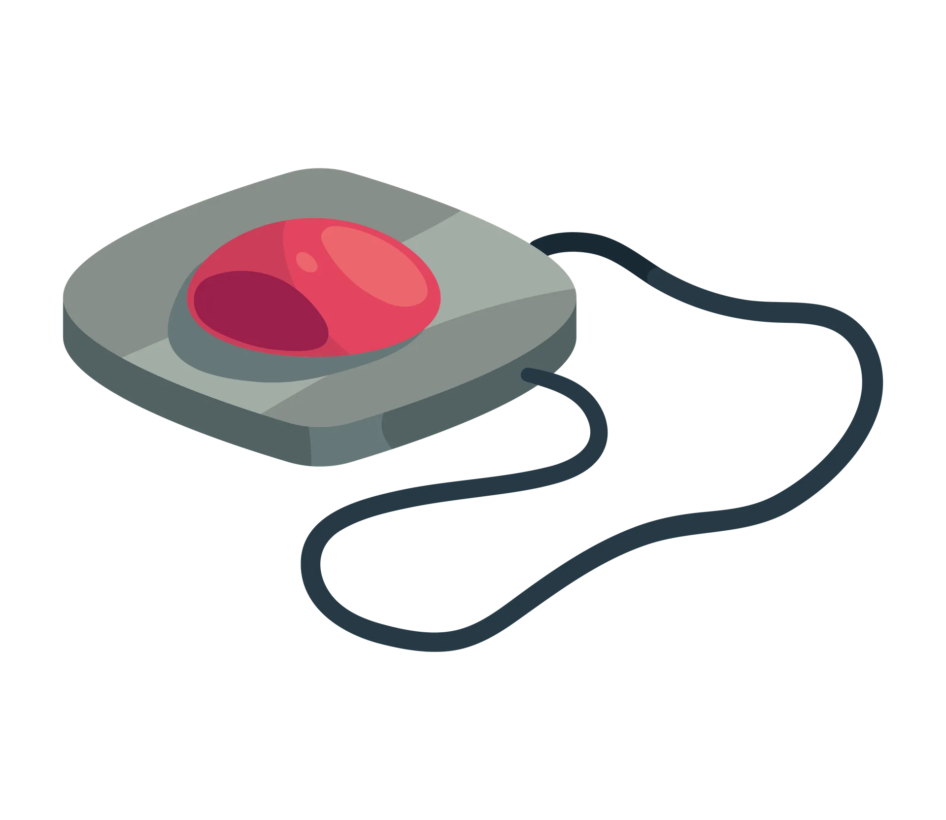 Illustration d'une amulette.